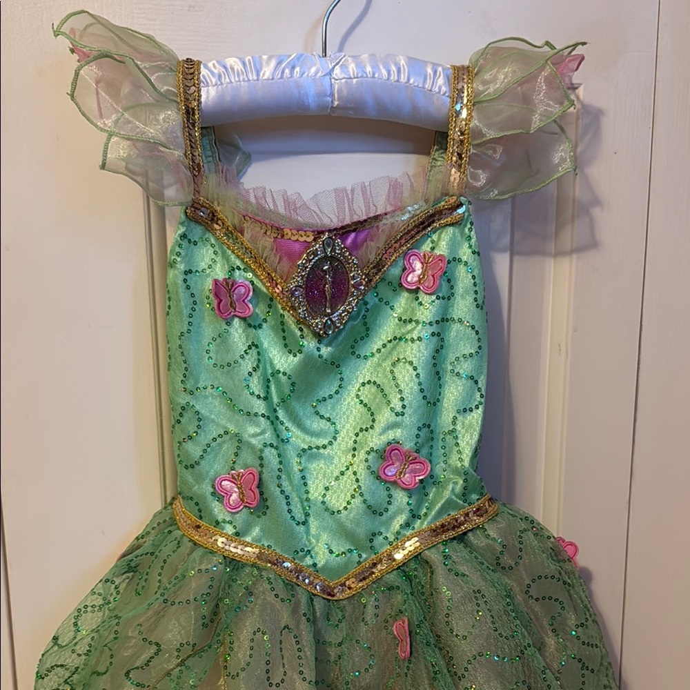 Disney Green and Pink Butterfly Tulle Dance Costume